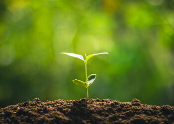 First 18 Months for Hong Kong Limited Company Accounting and Audit Requirements