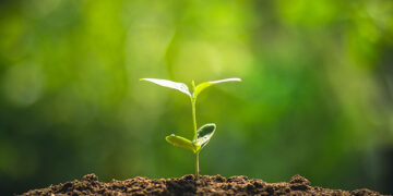 First 18 Months for Hong Kong Limited Company Accounting and Audit Requirements